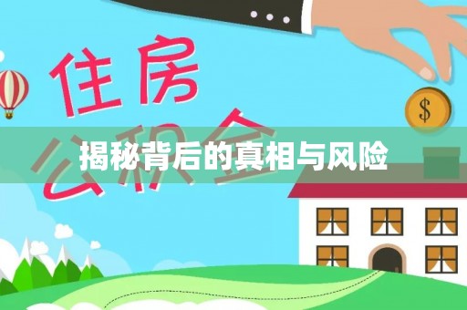平遥揭秘背后的真相与风险