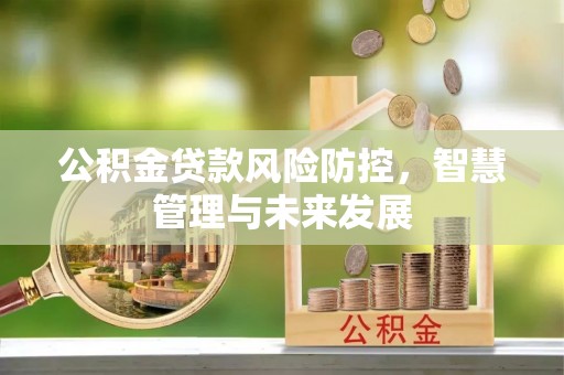 平遥公积金贷款风险防控，智慧管理与未来发展