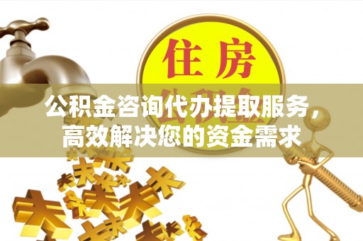 平遥公积金咨询代办提取服务，高效解决您的资金需求
