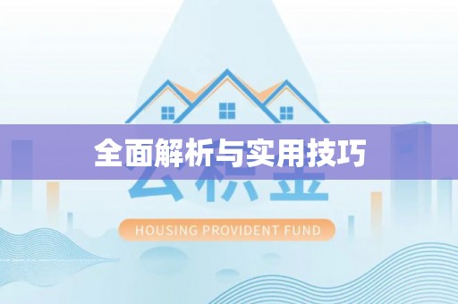 平遥全面解析与实用技巧