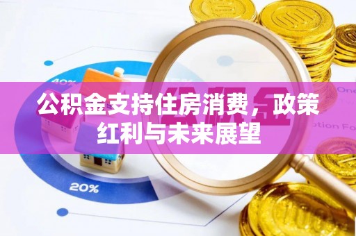 平遥公积金支持住房消费，政策红利与未来展望