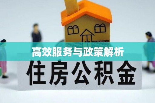 平遥高效服务与政策解析