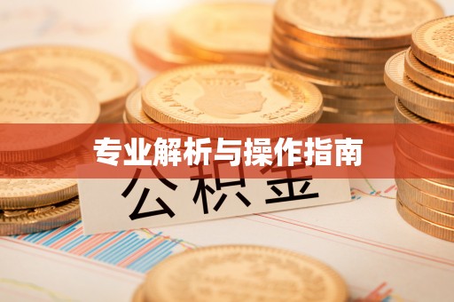 平遥专业解析与操作指南