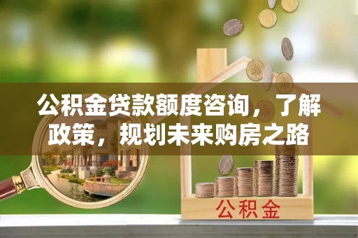 平遥公积金贷款额度咨询，了解政策，规划未来购房之路