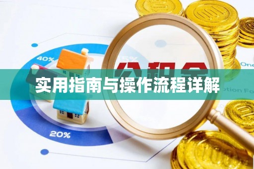 平遥实用指南与操作流程详解