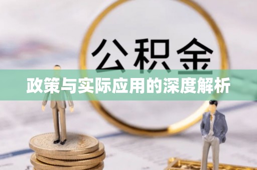 平遥政策与实际应用的深度解析
