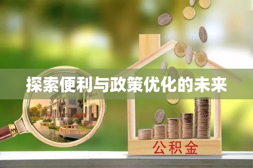 平遥探索便利与政策优化的未来