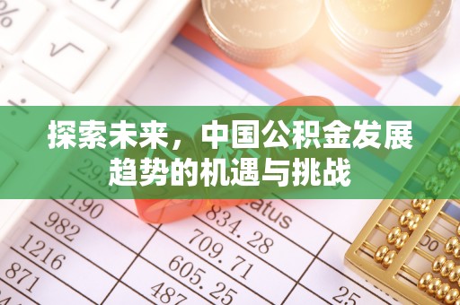 平遥探索未来，中国公积金发展趋势的机遇与挑战