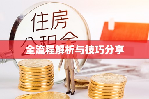 平遥全流程解析与技巧分享
