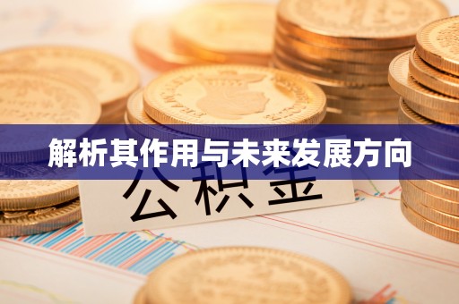平遥解析其作用与未来发展方向