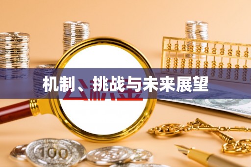 平遥机制、挑战与未来展望