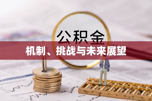 平遥机制、挑战与未来展望